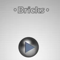 Bricks